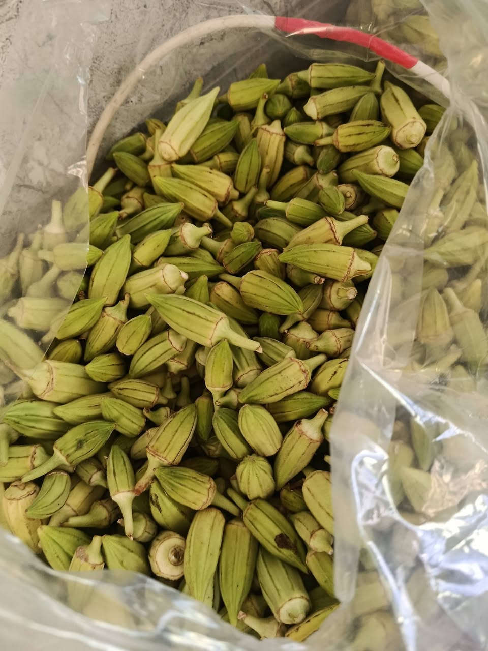 حلقوميه مال اليوم السبت 2500 دع رمادي شارع اربعين ***********
