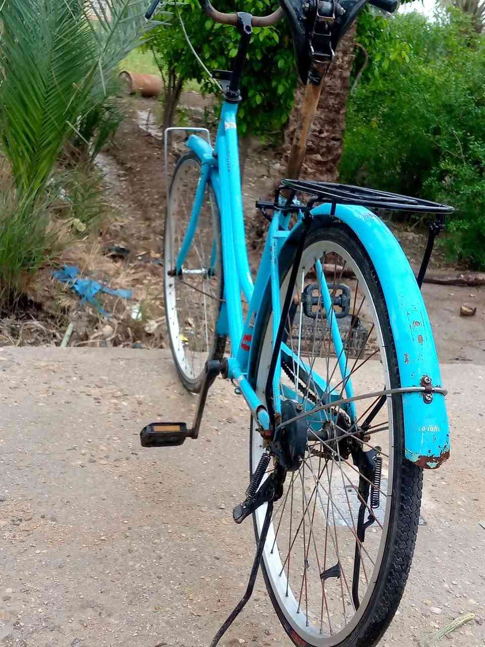 سلام عليكم باسكل للبيع حجم 26 مامصبوخ شغالكلشي ماعوزه  مكاني دوانيه قضاء السدير السعر (٦٠)وبيه مجال


**إذا كنت صاحب هذا الإعلان وتريد حذفه لأي سبب، رجاءا أرسل رسالة إلى الدعم الفني**