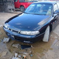 فاصوليا • ١٩٩٥ • أربيل