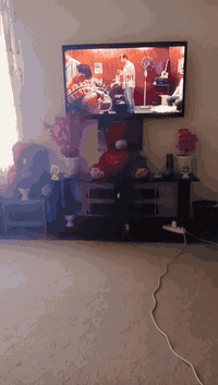 بلزمه 43لبيع هيه والميز السعر 125،،، ***********
