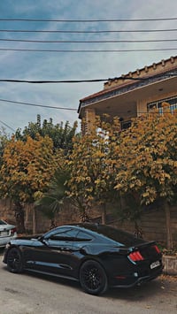 موستانغ • ٢٠٢١ • ٥٠٠٠٠ ميل