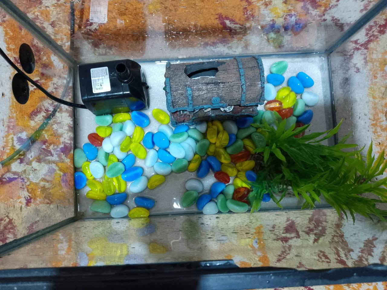 سلام عليكم حوض اسماك كامل ملحقات طول 35 العرض 20 بدون اسماك سعر ب 15 وبي مجال مكاني البصره حي الحسين / واتساب ***********
