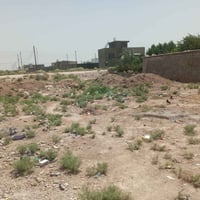 قطعه أرض 500متر رسمي بيهه تشجير خلف قطعه سند25. تتكاتب ويه صاحب ارض مب...