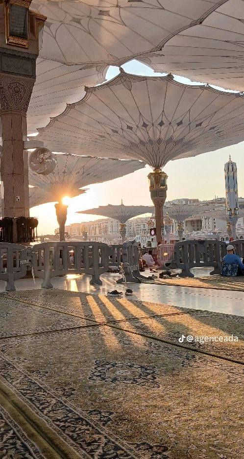 سڵاووڕەحمەتی خوای گەورەتان لێبێ خۆشەویستان گەشتێکی عەمرەمان بۆ ڕێکخستوون بۆ ١/٢٠ بەفڕۆکەوبەهەرزانترین نرخ بەکامل خزمەتگوزاریەوە تەنها بە 675 دۆلار جاکێ ئارەزوی ئەم گەشتەئیمانیەی هەیە بابەزوترین کات پەیوەندیمان پێوە بکات وپاسپۆرتمان بۆبهێنێ 
هوتێل مەدینە مرکزیە
هوتێل مکە محبس جن
جانتا
احرام
لەچک بۆخانمان
لەکەلارەوە دەرئەچین دێینەوە کەلار لەسەرحسابی کۆمپانیا بۆزانیاری تەواو پەیوەندی بکەن
*********** واتس اب
*********** پەیوەندی
