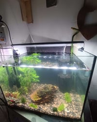 حوض نبات طبيعي • 50×35×35 • أوكسجين مزدوج