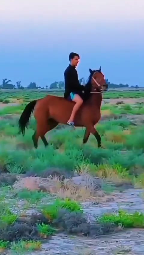 يالله سلام عليكم خيالتنا فرس عربيه شرط الخياله ولائمان ارتفاع ١٥٠ عمره ٤سنوات خياله والعب واطراد مكفوله وسالمه عل كل عيب سعرها ٨٥٠وبيه مجال قليل مكاني بابل الشوملي 
***********واتساب
