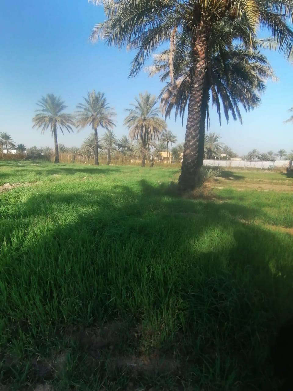 السلام عليكم
3دوانم ملك صرف طابو التويثه الشرقيه / الورديه قريب على حقول حسين شنيشل الواجه 105


**إذا كنت صاحب هذا الإعلان وتريد حذفه لأي سبب، رجاءا أرسل رسالة إلى الدعم الفني**