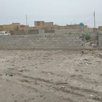 الديوانية البو جاسم • ٣٠٠م • طابو زراعي
