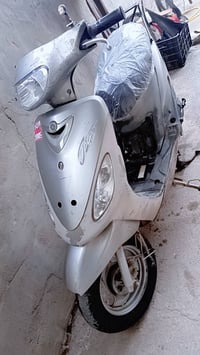 ماكس منغولي • جاهزة • ختم واحد