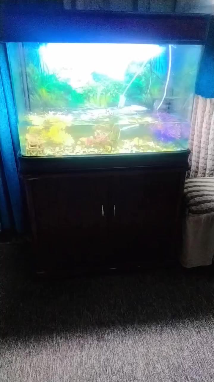 كامل مع ملحقاته


**إذا كنت صاحب هذا الإعلان وتريد حذفه لأي سبب، رجاءا أرسل رسالة إلى الدعم الفني**