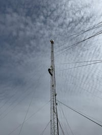 تفصيخ البراج 90  نصب 130     شغل درجه اولى للكاع انزلك البرج وكادرنا م...