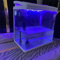 حوض أسماك • إضاءة LED • فلتر داخلي
