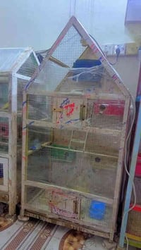 قفص • ٥ بيوت • حي فلسطين