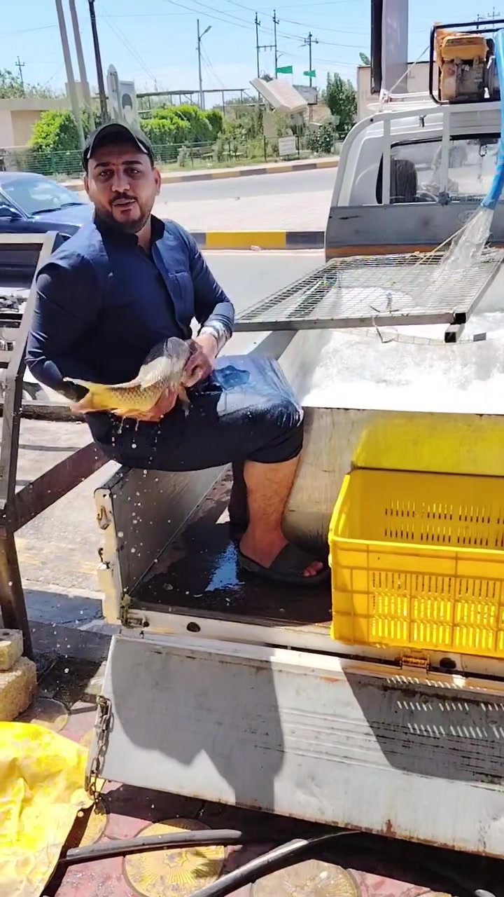 بسم الله الرحمن الرحيم
(( وقل اعملوا فسيرى الله عملكم ورسوله والمؤمنون وستردون إلى عالم الغيب والشهادة)) 
          صدق الله العلي العظيم

على بركه الله  مسقف وشوايه اسماك الفرات 
العنوان بلد فلكه الفرات يم بدر ابو الاسواق 
ارقام الحجز 
***********
***********
