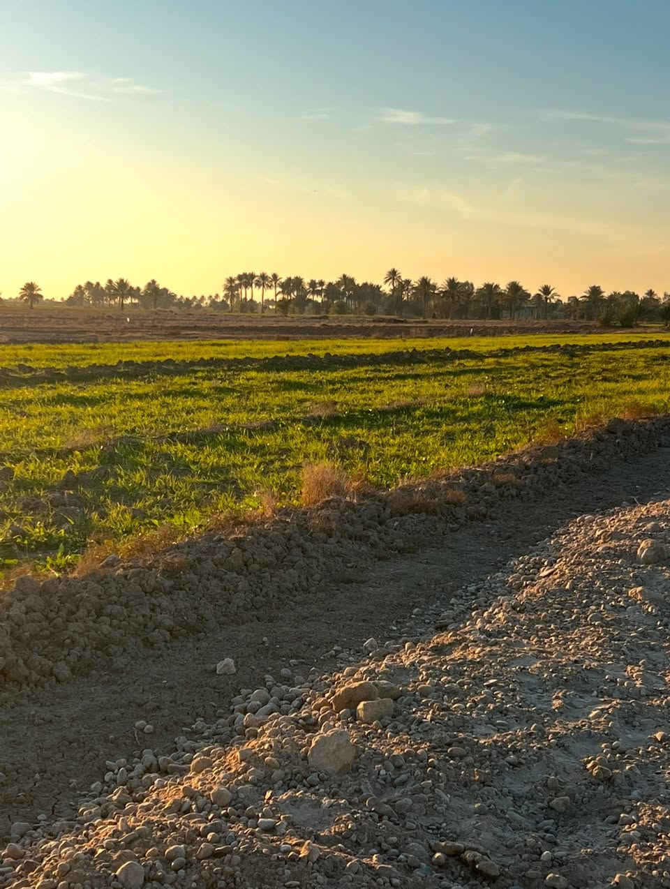 دوانم طابو زراعي سند ٢٥
ابي غريب منطقة ال ١٠ مناصير 
كامل خدمات كهرباء قشط 
وجه ٥٠ في ٥٠ أو ٤٢ في ٦٢
سعر الدونم :-٧٥
للاتصال:-***********
