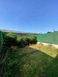 ملايين النور • ١٤٦م • ملك صرف