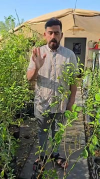 توصيل داخل الكوت • ديكور • حديقة