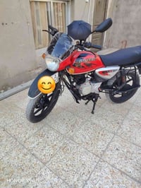 بوكسر • فحل • ٢٠٢٣