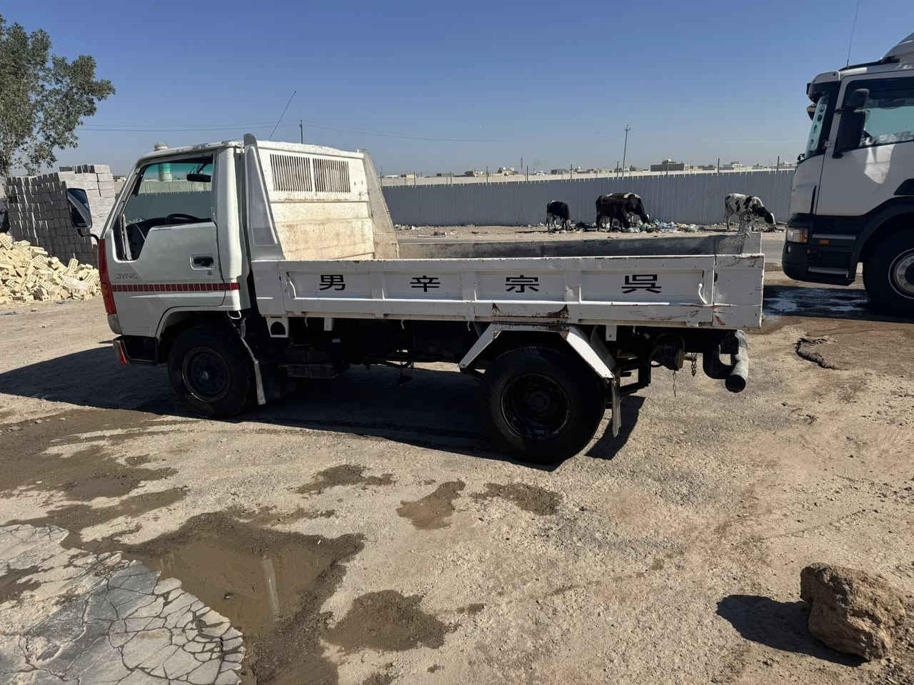 سلام عليكم تيوتا داينا سبرنك جوه
جاهزه للعمل رقم ديالى موديل 97عنوان بغداد 

سعر90

***********
