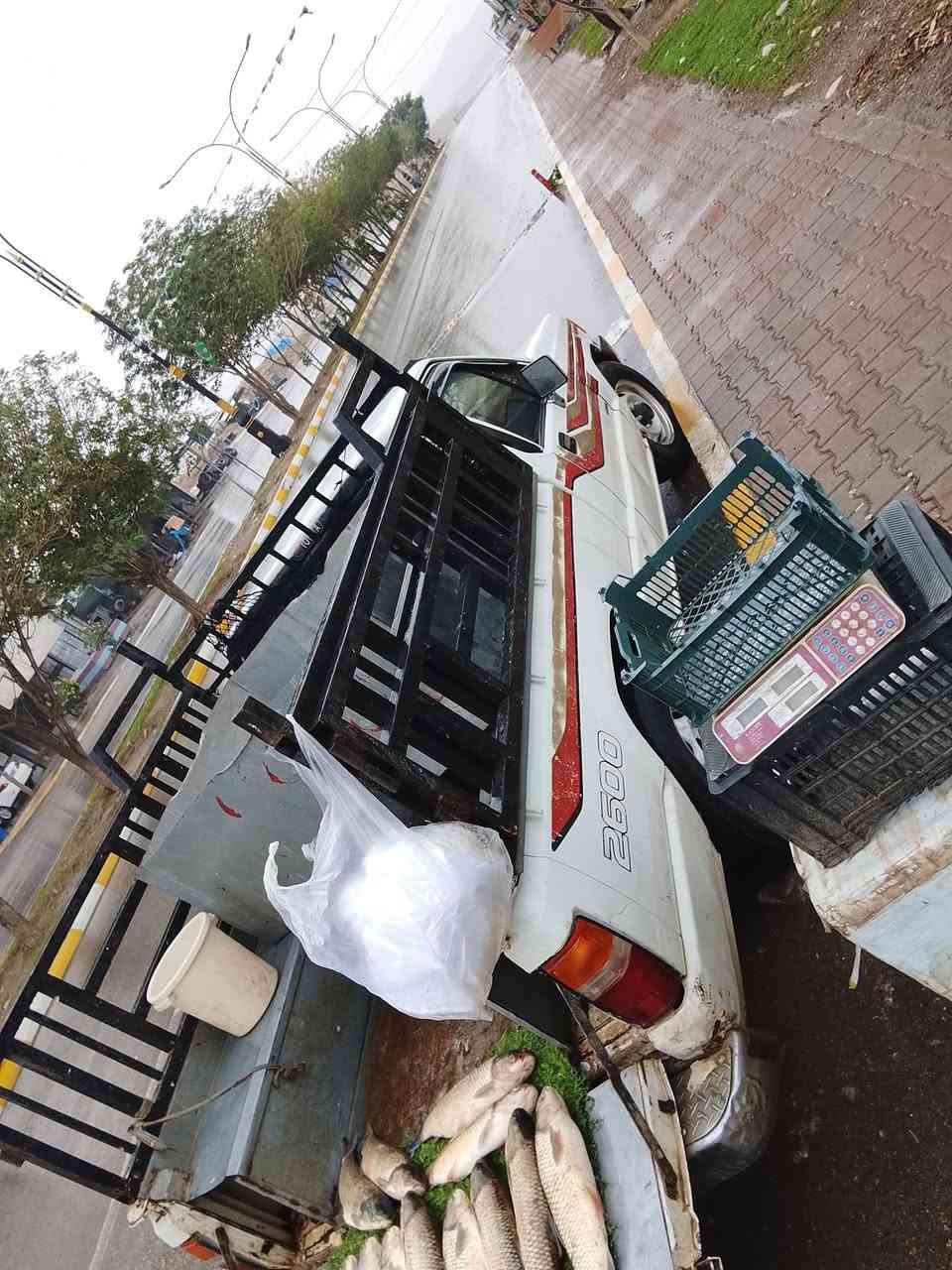 سەرەتا بەناووی خوای گەورە
مستەربۆشی تاک 
گێر مەکینە ئەکسل بەشەرت
تایەی تازە ناوو بۆدی و چەمچە ماڵی کاسبی
سەیارەکە هەتا بڵێی بێ عەیبە و ماڵی کاسبییە
***********
