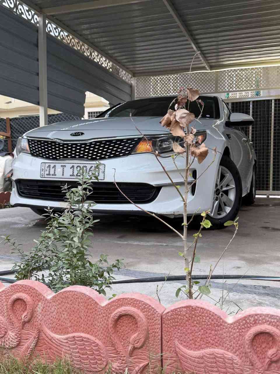 تحيه طيبه السلام عليكم
اوبتيما2016

#المواصفات

 🔹النوع :  اوبتيما 

 🔹الموديل : 2016 

🔹داخل اسود  

🔹تحكم ستيرن

🔹ويل كب حجم ١٦

🔹شاشة ا + كامره

🔹اشاره بالمراية  

🔹مانع تزحلق  

🔹فتحت USB  

العنوان / بغداد / المحمودية

السعر $125وبيه مجال 
‏ملاحظة بيه طخه مثل ما موضع بل صوره بعده ما معدلها   

اخوان صور الحادث بل منشور  

سياره كلش جديده  

========================
للاستفسار اكثر عن تفاصيل السيارة يرجى الاتصال ***********وتساب📞
***********
