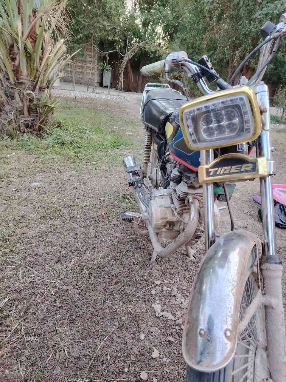 سلام عليكم من رخصت صاحب الدمن دراجه 4كير للبيع كلك اكفلك من سرقه عوزهاا شغلات بصيطه سعر 200 قرب العلويه شريفه ع ***********
