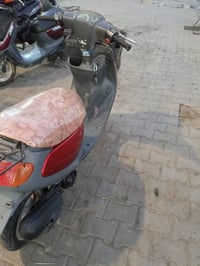 منغولي • نظيف • مكفولة