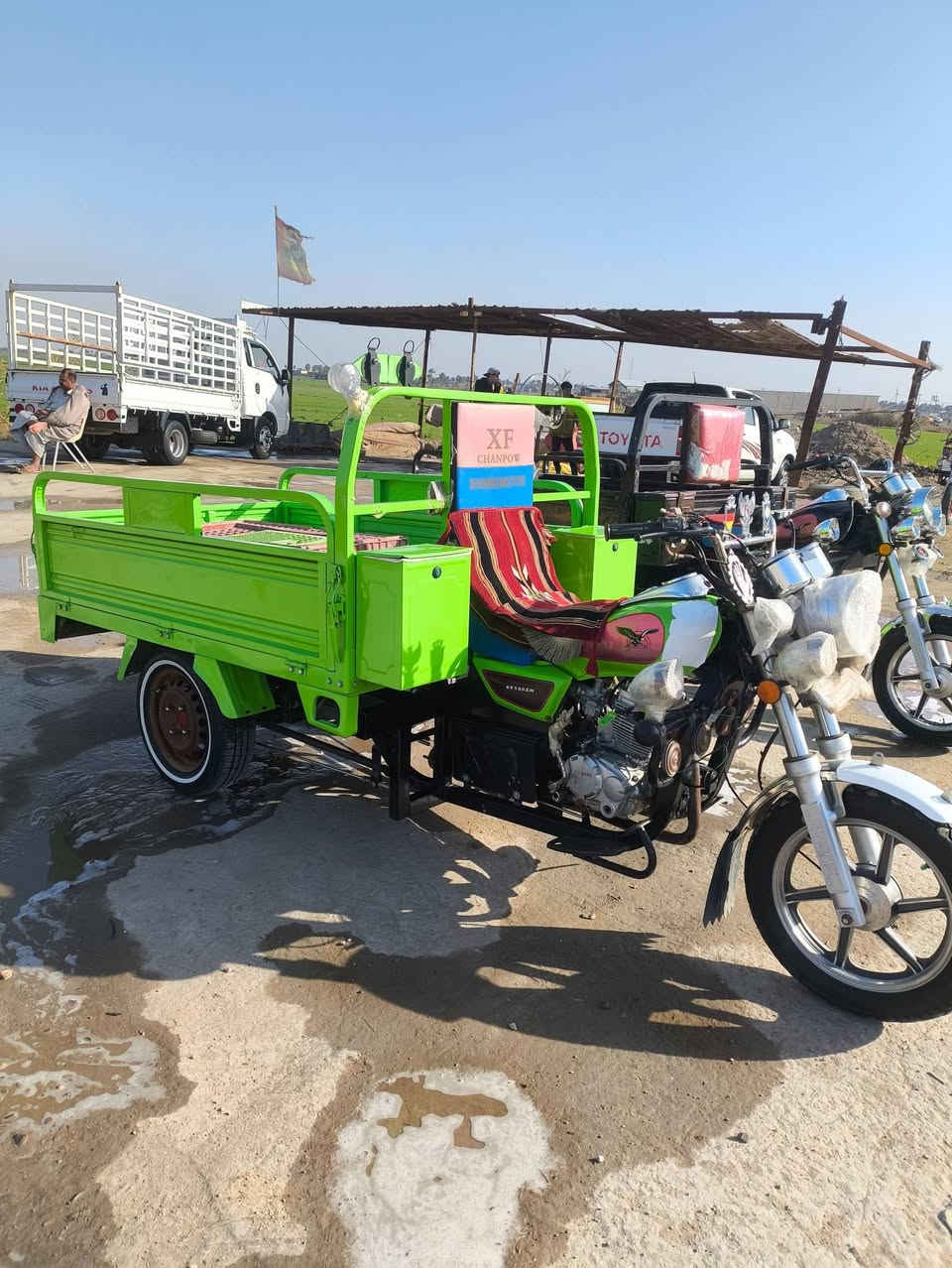 ستوته للبيع التفاصيل بل فيديو ب 2500وبيهه مجال 
الستوته مو الي الله شاهد هاذ رقم راعيهه *********** ونته وياء بعد
