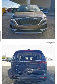 كرنفال • ٢٠٢٤ • بدون تصليح