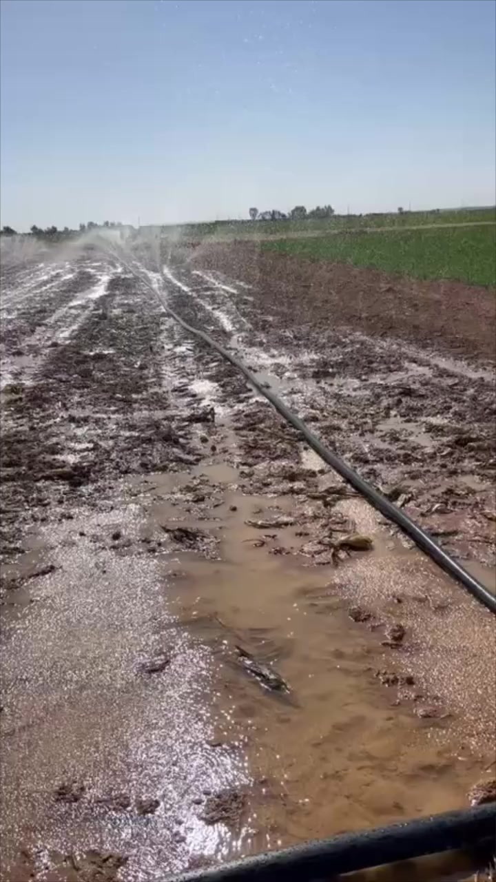 سعر 20 الف
💯صوندة مطرية قياس 2 انج 🌧
-100 متر طولة⚡️
- زبانه 2 انج
- بداية الخط 2،5 فحل
يوجد التوصيل لكل المحافظات 🚚
🔻العنوان
كركوك / حي الصناعي الجديد/ مركز مبيعات D-Z99
☎️ *********** - ☎️ ***********
#شعب_الصيني_ماله_حل😂😂 #اربيل_دهوك_سليمانية_كركوك_بغداد #حسابي_الرسمي_على_التيك_توك #كركوك #مركزمبيعات
