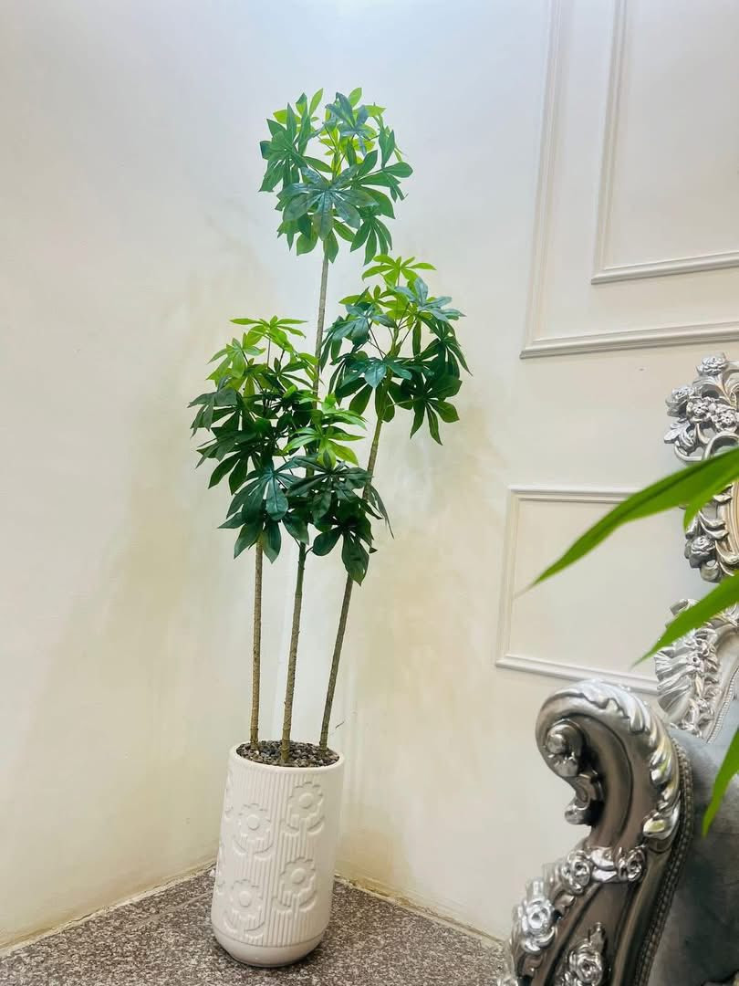 جودة عالية جدا قياس ١٨٠ سم سندانة زجاج ضمن عروض التوصيل المجاني ✅❤️‼️


**إذا كنت صاحب هذا الإعلان وتريد حذفه لأي سبب، رجاءا أرسل رسالة إلى الدعم الفني**