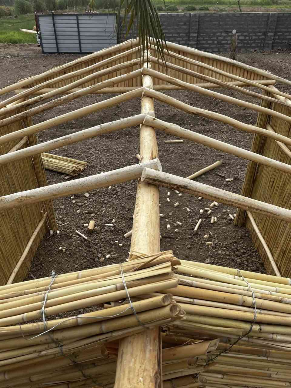 متوفر لدينا /✅ خشب طبيعي بأنواعه
✅قصب طبيعي نظيف لديكور والجلسات العربيه / ✅حصير تراثي عمل يدوي..
جميع منتجاتنا تستخدم للمنازل والاستراحات والكشتات ومشاريع الديكور
للإستفسار... يرجئ مراسلة الصفحه
او الاتصال علئ الأرقام التاليه.
***********
***********
يوجد توصيل جميع محافظات العراق
#بغداد #العراق #التراث #العراقي
#اكسبلور
