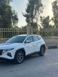توكسن • ٢٠٢٤ • رقم دهوك