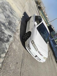 سيراتو • توماتيك • السليمانية