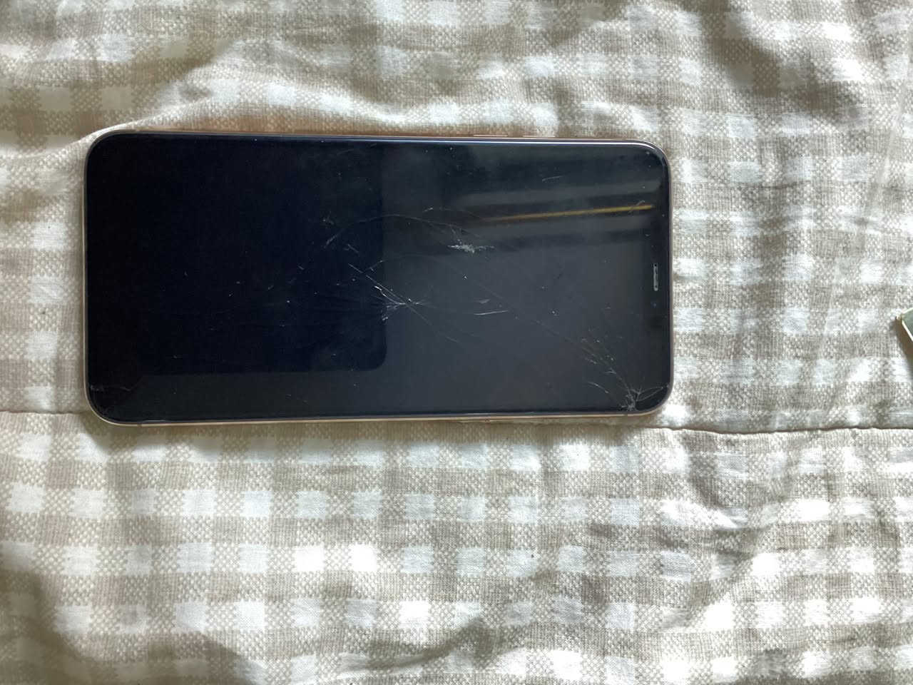 ١١ برو ماكس ذاكرة ٢٥٦ بطارية٧٢ كله بلادي فقط فطر بالشاشة وشحن وكف ميشحن


**إذا كنت صاحب هذا الإعلان وتريد حذفه لأي سبب، رجاءا أرسل رسالة إلى الدعم الفني**