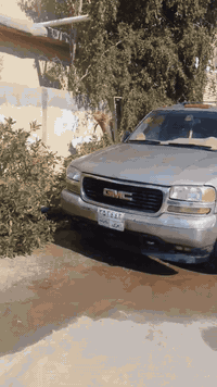 جمسي • مكينة بيها صوت • كفاله عشائرية