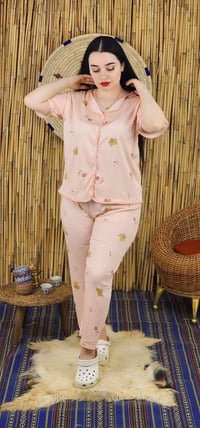 تراك دكم • قياس واحد • كلينس اصلي