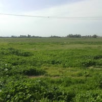 يم شقق • ٢٣دونم • سعر مناسب