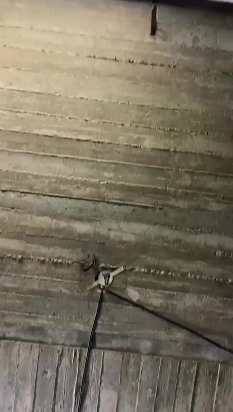 شغل اليوم ***********
