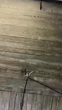 شغل اليوم 07752534443