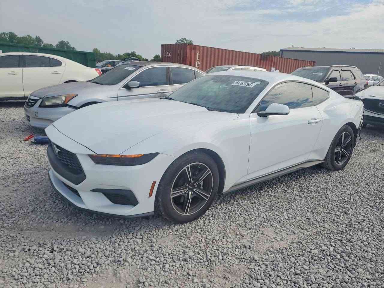 2025 FORD MUSTANG

شحن مباشر الى اربيل عن طريق مرسين تركيا 
شحن مباشر الى العراق عن طريق الحرة الاردن 
*********** :📞 
*********** :📞
السعر :  حسب المزاد  
تاريخ المزاد :  6/8
الضرر : حسب الصور المرفقة 
بيع وشراء كتب شهداء 
شراء سيارات تحت الموديل لمن لديه كتاب ضباط 
لو كتاب دبلوماسي 
بالامكان ادخالها بكتاب ذوي الشهداء باعفاء كمركي مع اعفاء الرقم 

🔺نتكفل بالسيارة لحين وصولها 
🔺اي استفسار مراجعة المكتب 
🔺 اوقات العمل كل ايام الاسبوع من الساعة ال 5 عصراً ماعد يوم السبت و الاحد عطلة المزاد
🔺 عملنا شراء السيارات من المزادات الامريكية والكندية
🔺لدينا تقرير Carfax مجاني لفحص السيارة قبل دخولها المزاد 
🔺 نشحن من جميع الموانئ الامريكية والكندية وبأسعار شحن تنافسية 
🔺نشحن الى دبي و عمان و البصرة و كردستان و تركيا  
🔺لدينا ورشة تصليح في دبي 
🔺لدينا معقب لتخليص السيارات (حرة او معوقين او ذوي الشهداء ) و ايصالها الى الزبائن
📍العنوان : موصل حي الوحدة مقابل معهد صناع الامل 
🔺اوقات الدوام من 4 عصراً وحتى ال11 ليلاً كافة ايام الاسبوع 
☎️ للاستفسار الاتصال على الرقم
م.علاء ابو فهد 
 
*********** :📞 
*********** :📞 ￼

