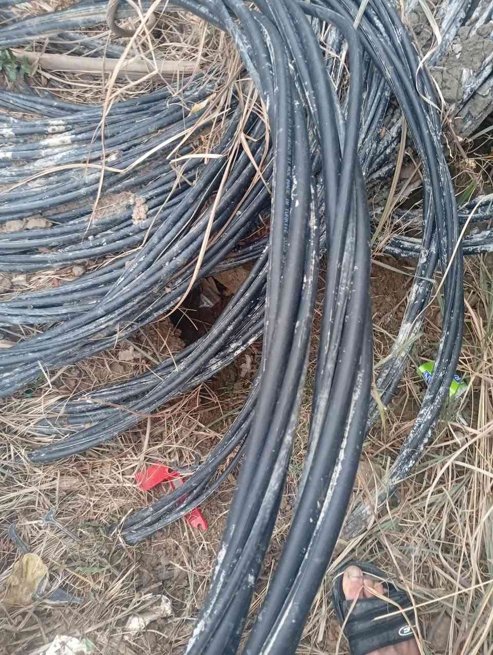 ضفيره نظيفه كلش أكثر من 100متر


**إذا كنت صاحب هذا الإعلان وتريد حذفه لأي سبب، رجاءا أرسل رسالة إلى الدعم الفني**