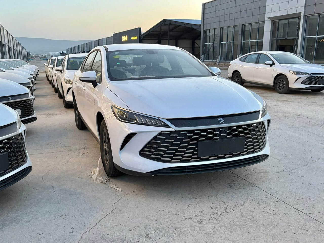 byd چین پلەس
کامل ئەشیا و گاعی لەگەلە
بۆیاخ تەنک و بەشەرتی سۆنەر
سفر کم سێ مانگ کاتی لەگەلە
پارەی عقد و معرەزانەی نیە 🌹
نرخی ١١٦ گەلای صافی
***********
*********** السليمانية, العراق
