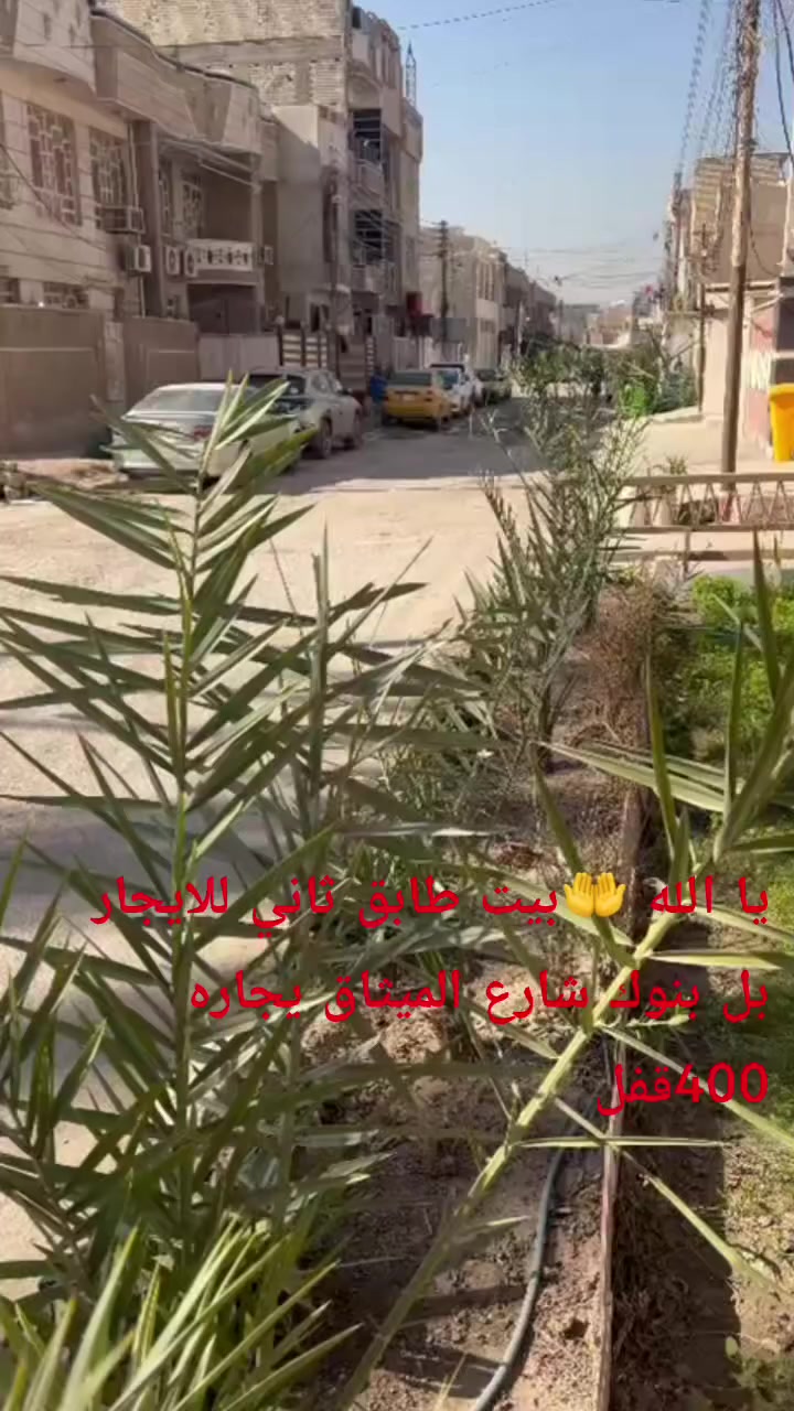 مكتب المختار علي الساعدي ‏‪***********‬‏عباس الساعدي ***********
