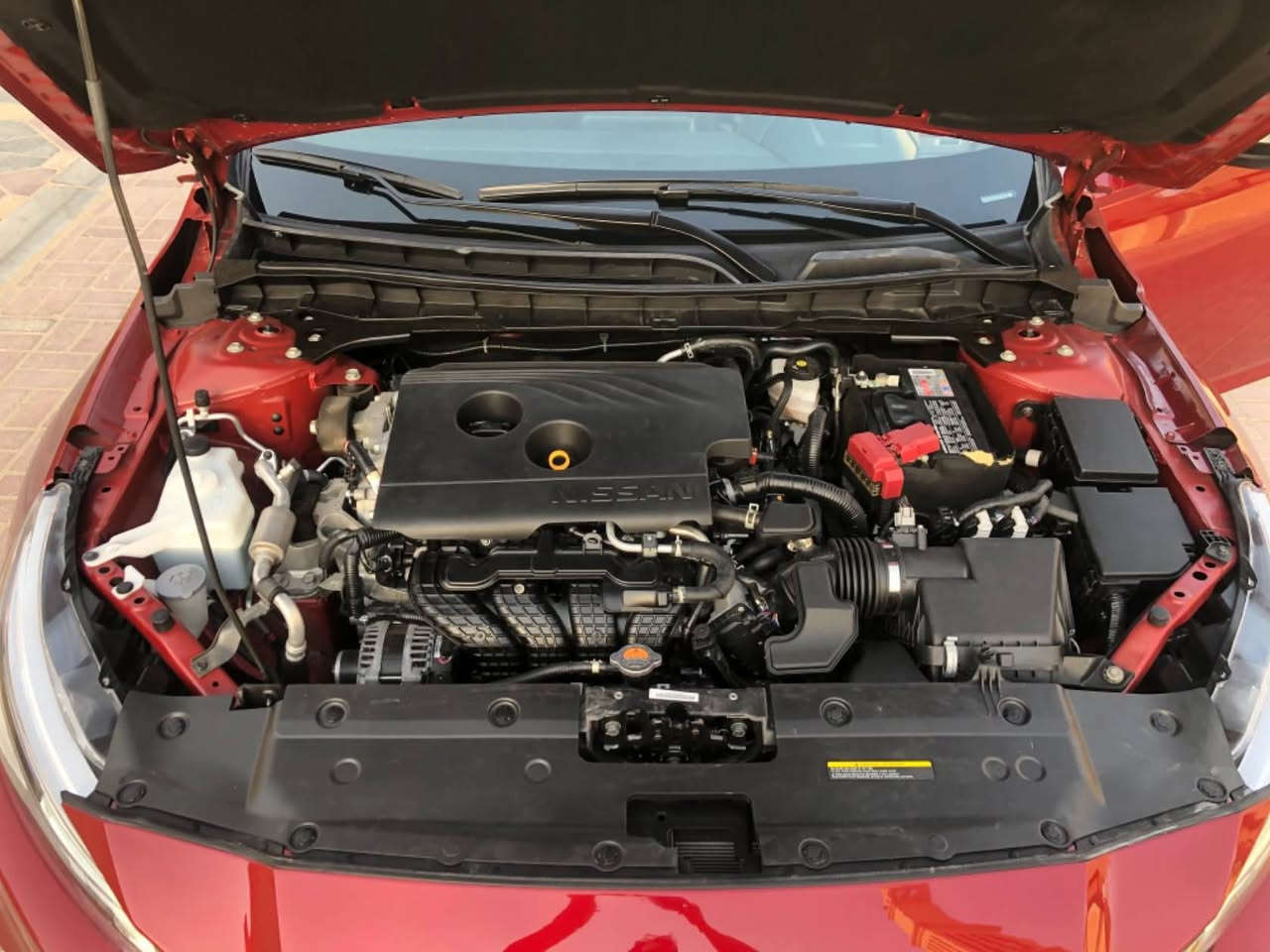 السلام عليكم للبيع نيسان التيما فئة SR رقم اربيل بأسمي
محرك 2500 تنفس طبيعي ويل كب قياس 20 رياضي
شفتات ستيرن شاشة كاميرا رادارات محيطية كشنات جلد كشن السايق كهرباء توقف ذاتي سياقة آلية حساس امام وخلف ضرر جداً بسيط وبدون ايرباك السعر 140 ورقه قابل للتفاوض للأستفسار *********** بغداد, العراق
