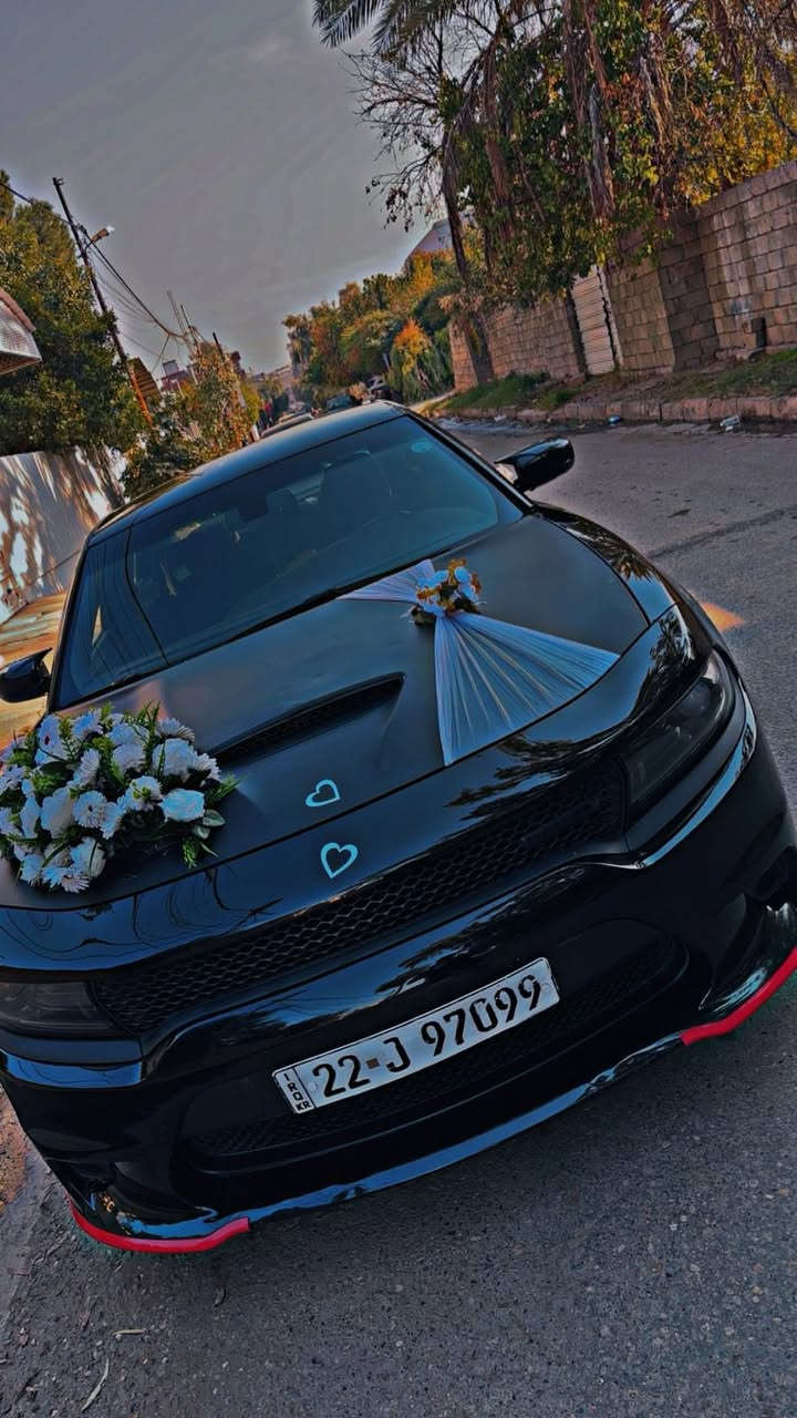 جارجر rt موديل 2022
ماشية  32 
صبغ باب خلف السايق وشخوط بل بنيد مغلفة مات 
وبيهة ملاحضات كم  رصعه سعر 248 للتواصل *********** Abwd AlSabawi فيس بوك
