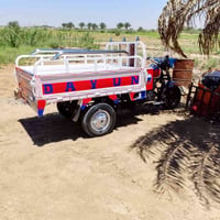 ستوته دايون • موديل ٢٠١٥ • مكفولة