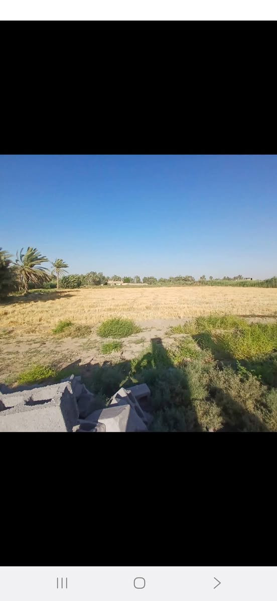 سلام عليكم ارظ زراعيه 7 دونم معه بيت معه حقل حلال تبعد عن السوق كلوين ركن عله شارع قضاء جبله حي الفرات فرع المصلخ رقم الهاتف ***********
