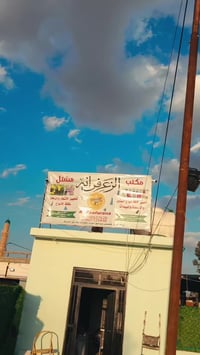 توفر في مشتل الزعفرانه بذور جت بكميات جدأ كبيره #جت محلي #جت مستورد مخ...