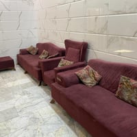 تخم تركي للبيع السعر 300 الف   براكية تواصل 07822330220